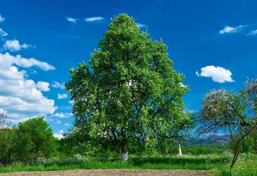 Pensiunea Agroturistica Casa Pribegilor