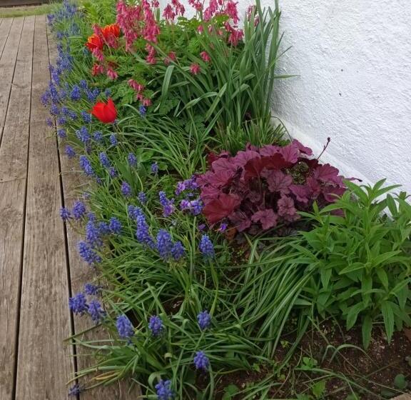 Place To Stay In Drøbak