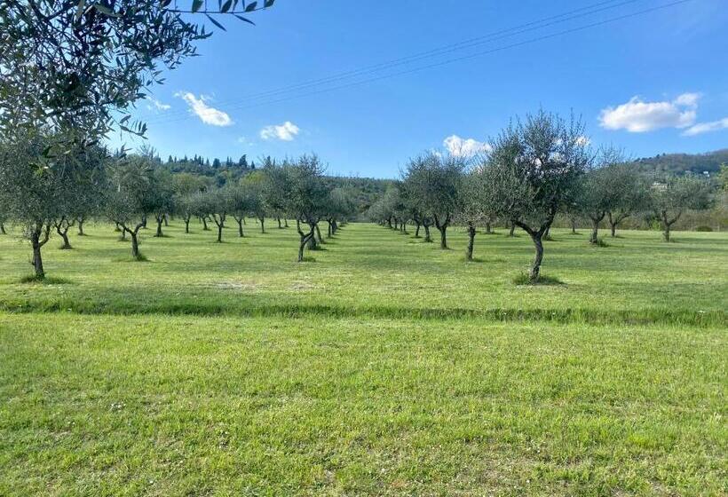 Podere Del Boscaccio