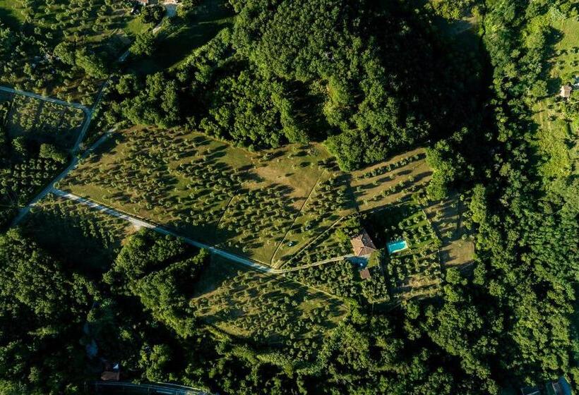 Podere Del Boscaccio