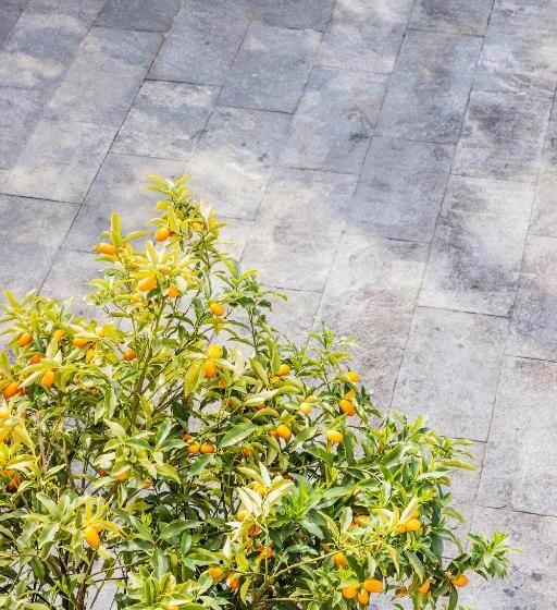 Villa Magnolia   Boutique Superior Rooms