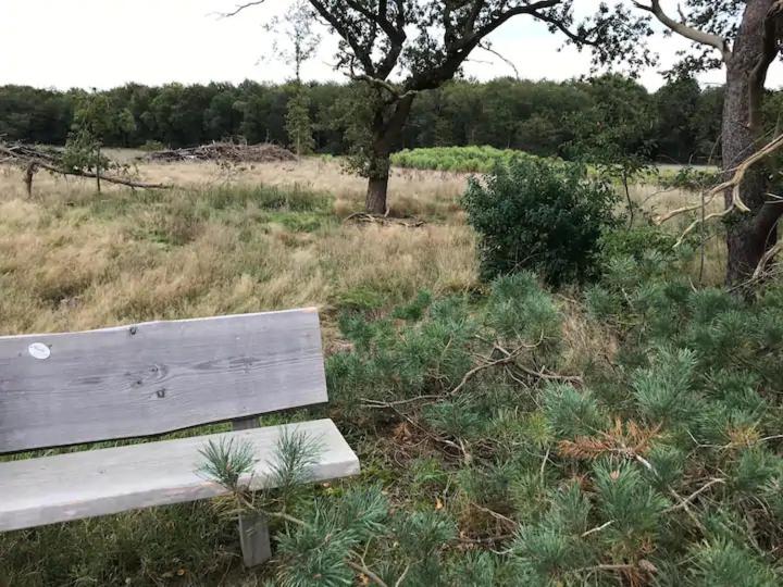 Zen Bungalow No 4 Met Sauna En Hottub