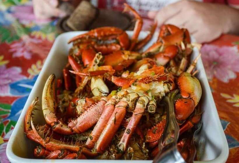 فندق صغير Pousada Brisa Do Mar