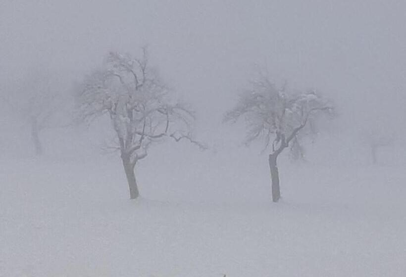 Apartment Ferienwohnung 3 Treffen Am Ossiachersee
