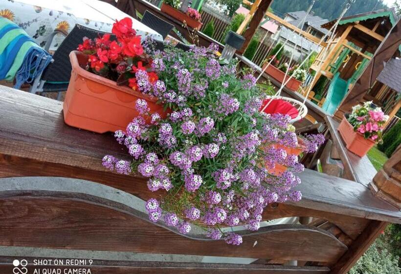 住宿加早餐  Casa Luca