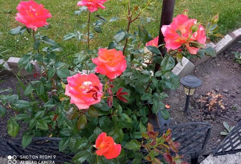 住宿加早餐  Casa Luca