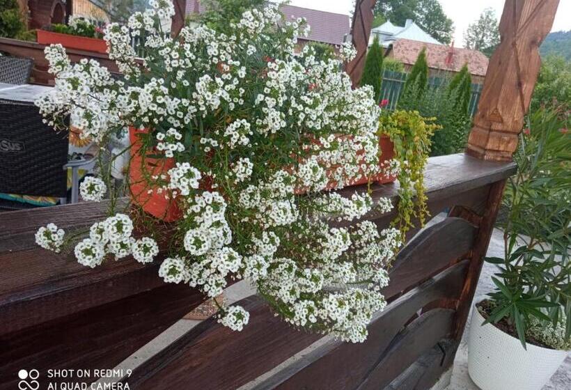 住宿加早餐  Casa Luca