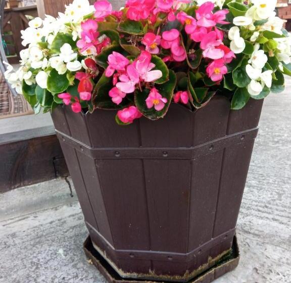 住宿加早餐  Casa Luca