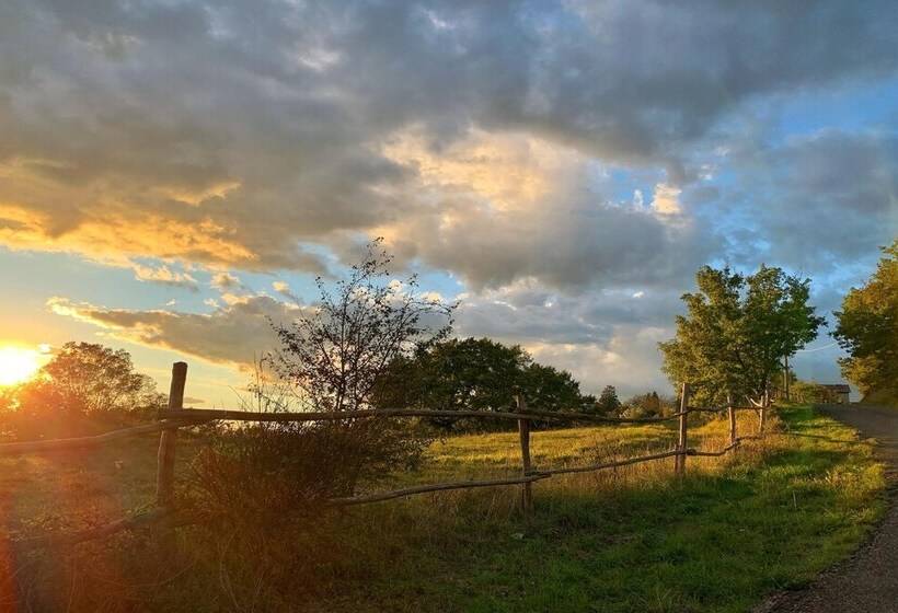 Bright Apt With Terrace And Shared Pool