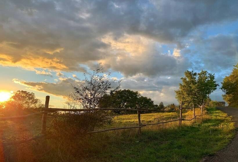 Bright Apt With Terrace And Shared Pool