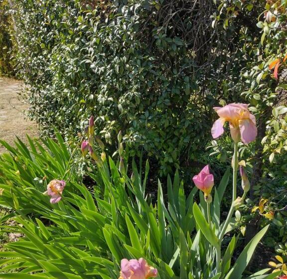 Campomora 5 Min Del Centro Confort Parrilla & Pileta