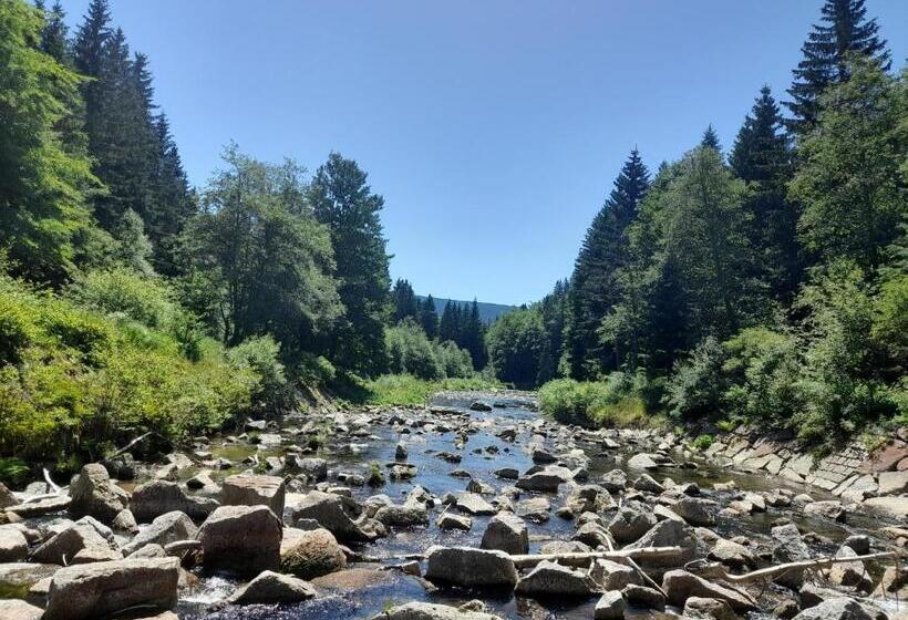 Cozy Apartment In Bedřichov   špindlerův Mlýn