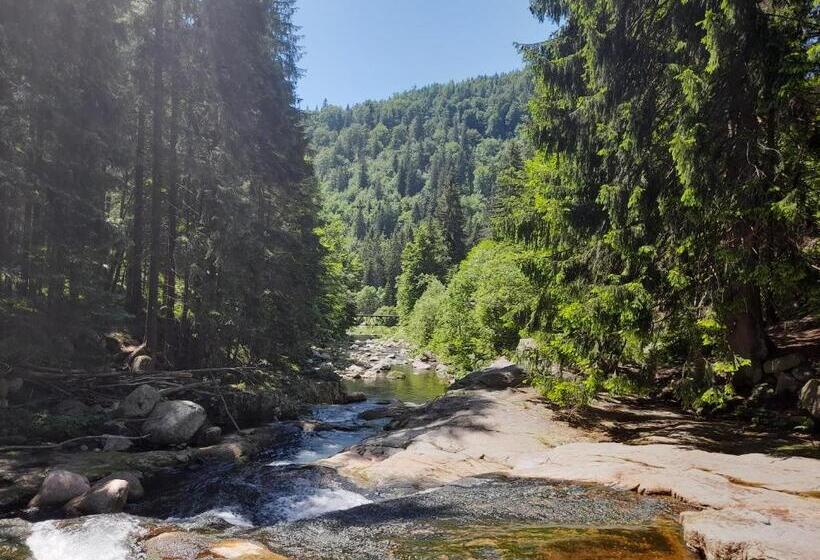 Cozy Apartment In Bedřichov   špindlerův Mlýn