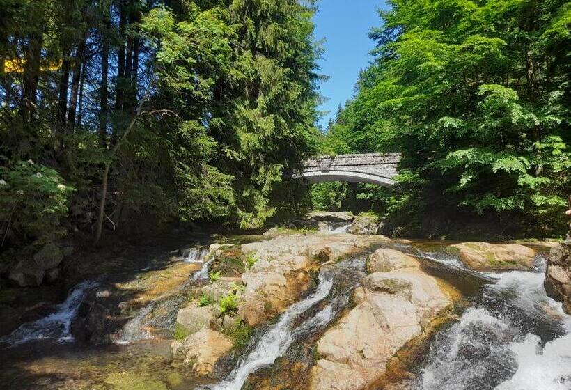 Cozy Apartment In Bedřichov   špindlerův Mlýn