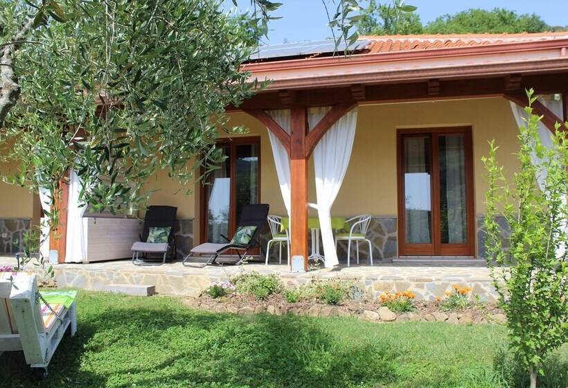 Ecolodge Selvitelle   Disconnect And Re Connect With Nature