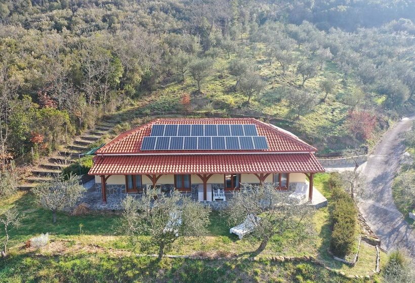 Ecolodge Selvitelle   Disconnect And Re Connect With Nature