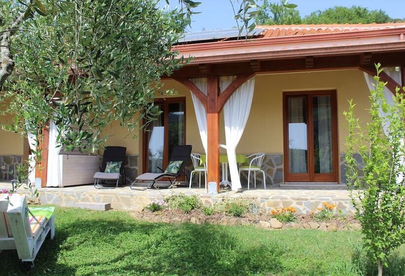 Ecolodge Selvitelle   Disconnect And Re Connect With Nature