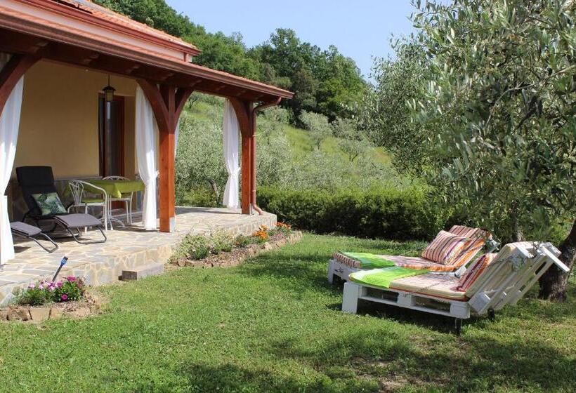 Ecolodge Selvitelle   Disconnect And Re Connect With Nature