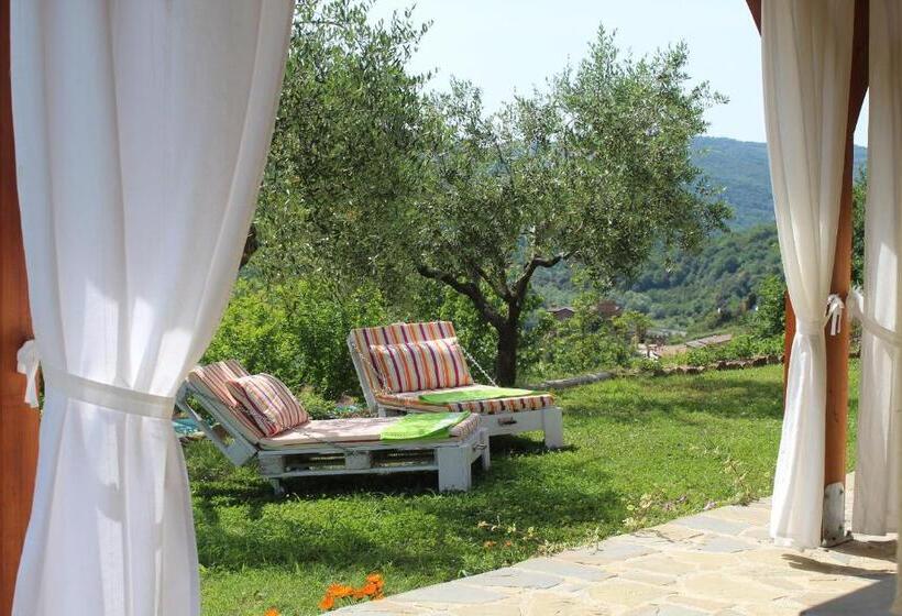 Ecolodge Selvitelle   Disconnect And Re Connect With Nature