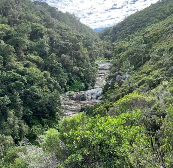 ホテル Misty Mountain Reserve