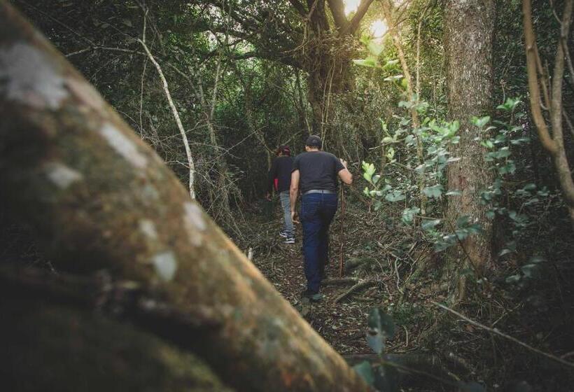 ホテル Misty Mountain Reserve