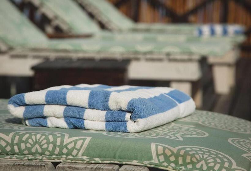 ホテル Misty Mountain Reserve