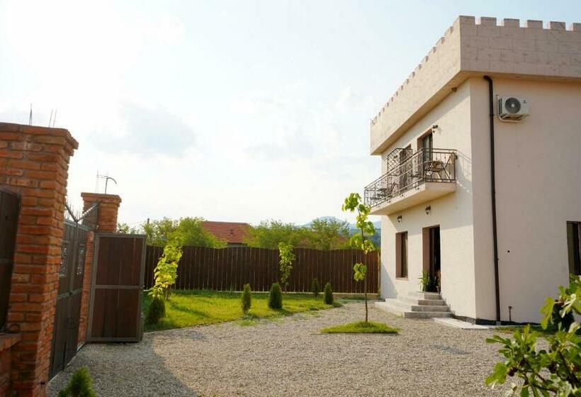 Отель Popasul Ancuței