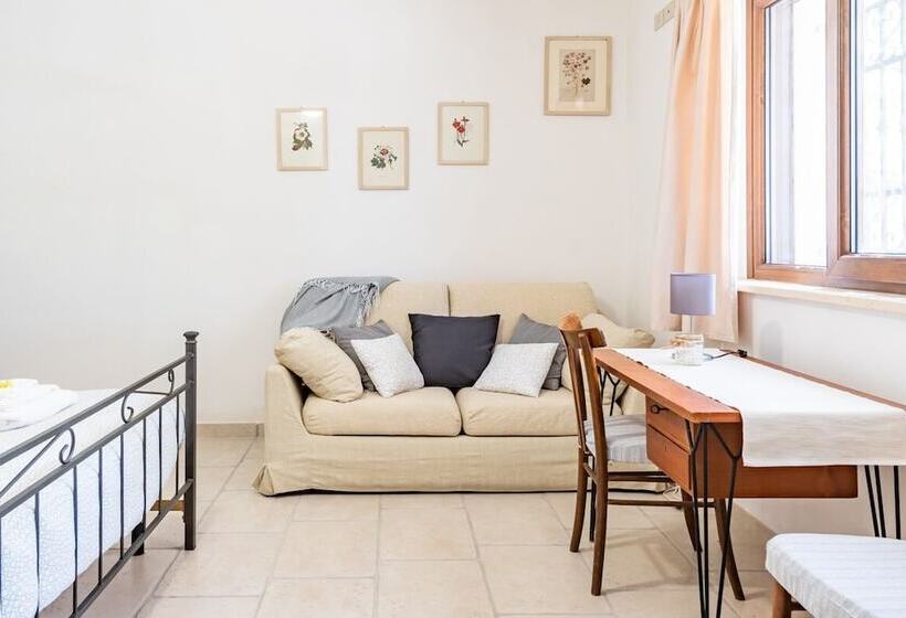 Il Fico Nel Pozzo   Yourplace Abruzzo