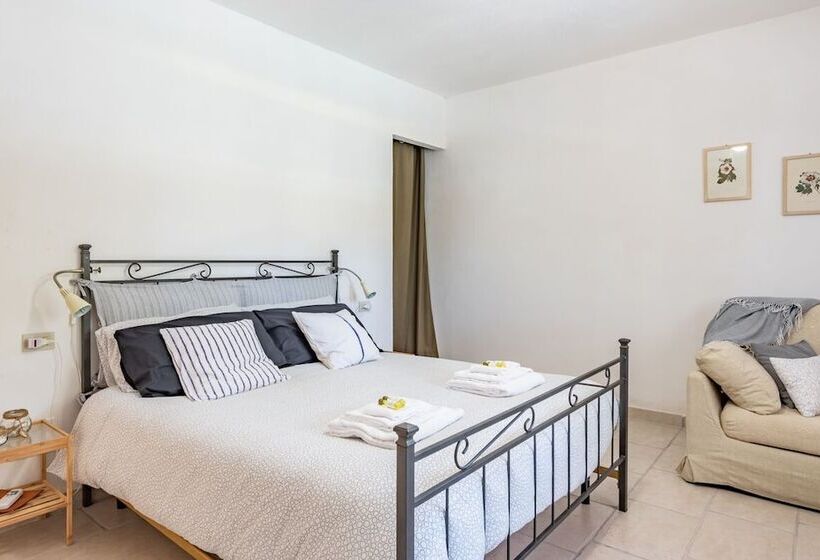 Il Fico Nel Pozzo   Yourplace Abruzzo