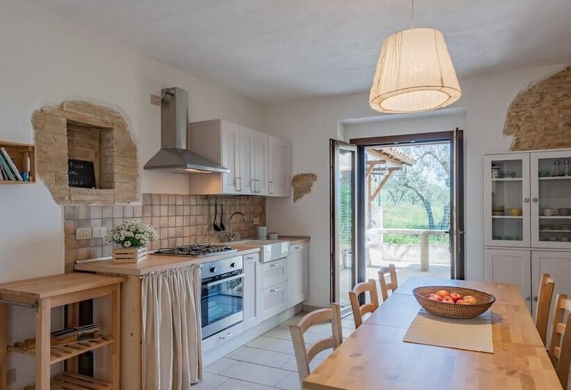 Il Fico Nel Pozzo   Yourplace Abruzzo