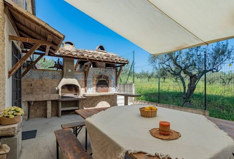 Il Fico Nel Pozzo   Yourplace Abruzzo