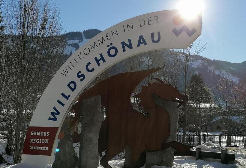 Ferienhaus In Panoramalage Kitzbühler Alpen By Fewo Plan Wild190