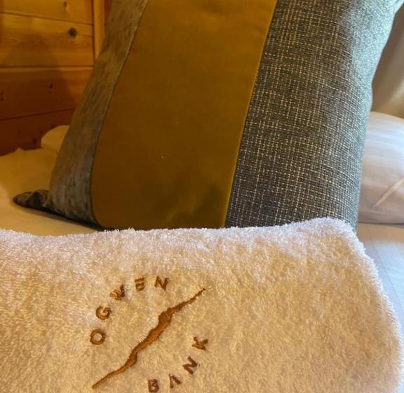 L10   The Conwy Spa With Hot Tub