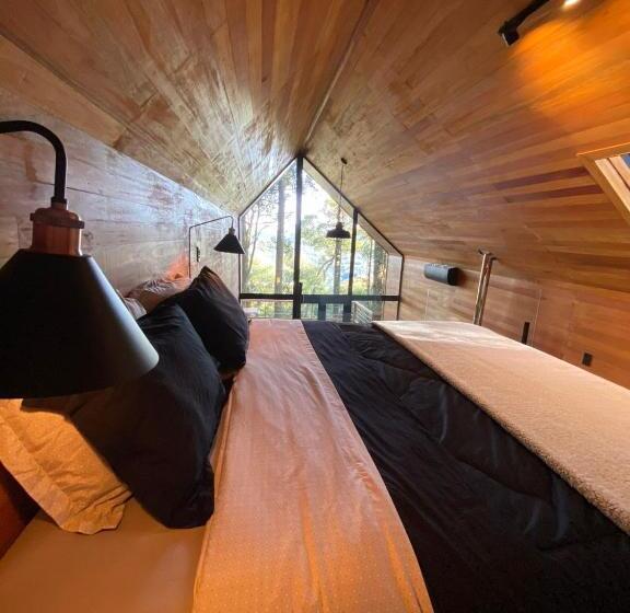 La Negra Cabana Entre Araucárias