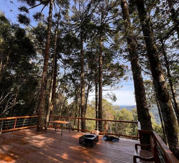 La Negra Cabana Entre Araucárias