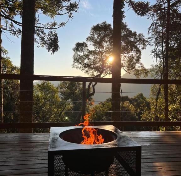 La Negra Cabana Entre Araucárias