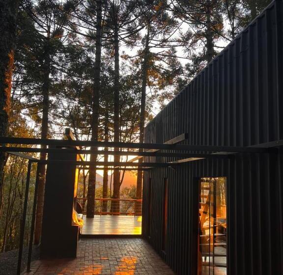 La Negra Cabana Entre Araucárias