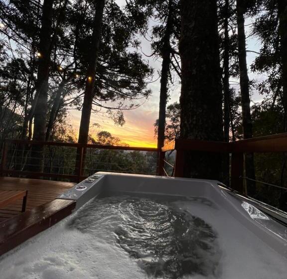 La Negra Cabana Entre Araucárias