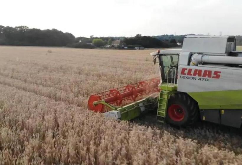 Luxury Retreat 30mins Taxi Ride From West London