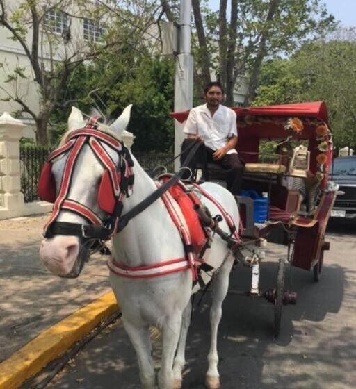 Oceanfront Casita Coral