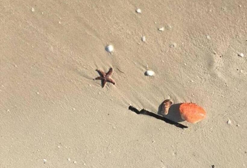 Oceanfront Casita Coral