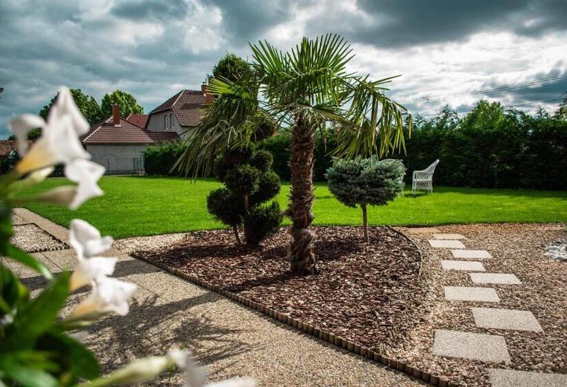 פנסיון Mónika Vendégház