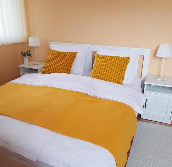 פנסיון Mónika Vendégház