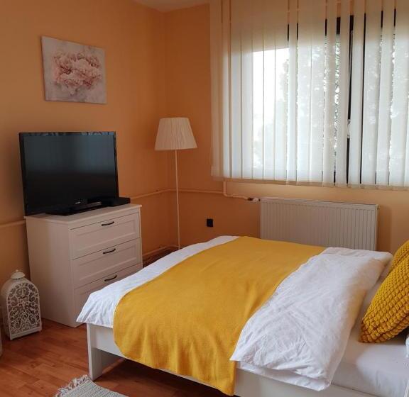 פנסיון Mónika Vendégház