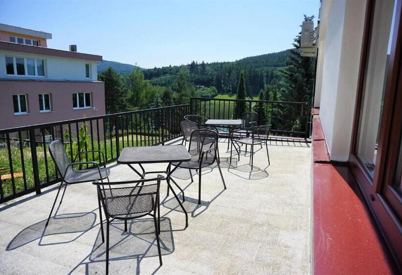 膳宿费 Penzion U Přehrady