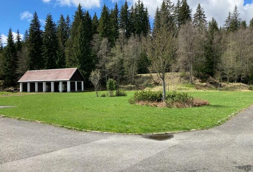 بنسيون Penzion U Pstruha