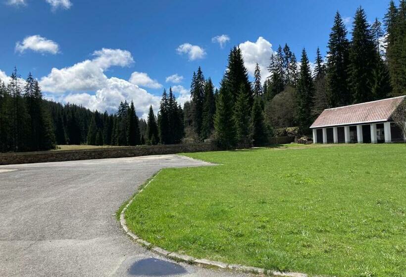 پانسیون Penzion U Pstruha