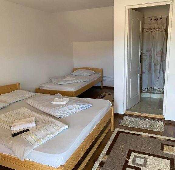 ペンション Rajni Panzio