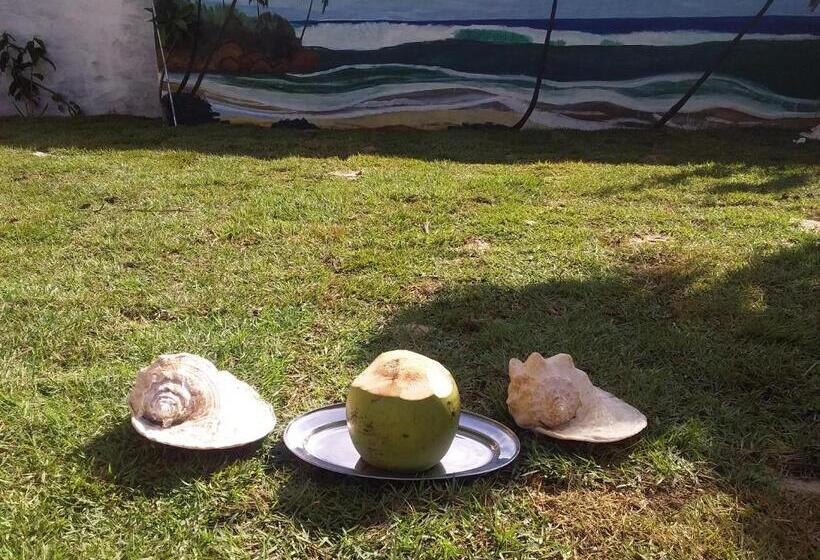 膳宿费 Suíte Das Flores Em Guajiru