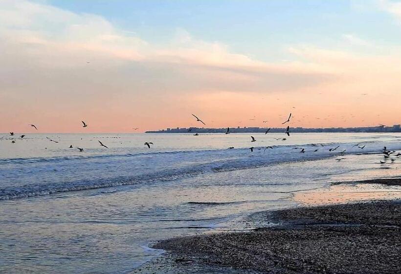 ペンション Vila Mercury Mamaia Nord